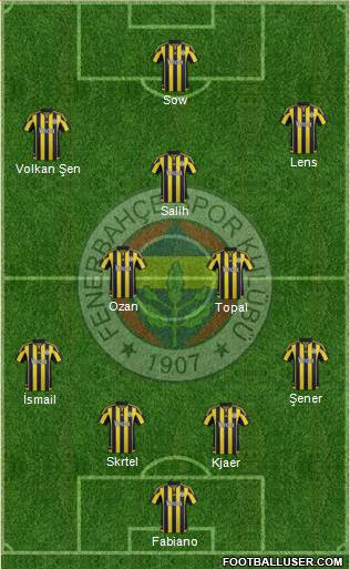 Fenerbahçe SK Formation 2016