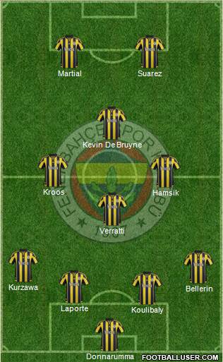 Fenerbahçe SK Formation 2016