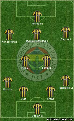 Fenerbahçe SK Formation 2016