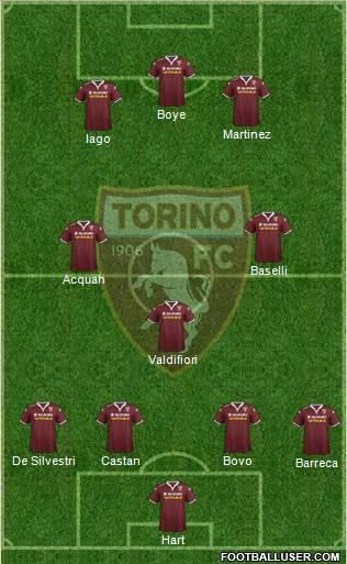 Torino Formation 2016