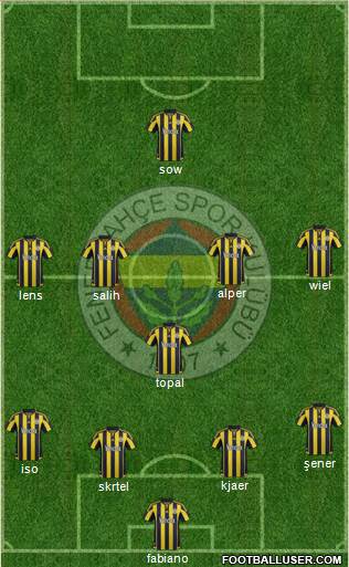 Fenerbahçe SK Formation 2016
