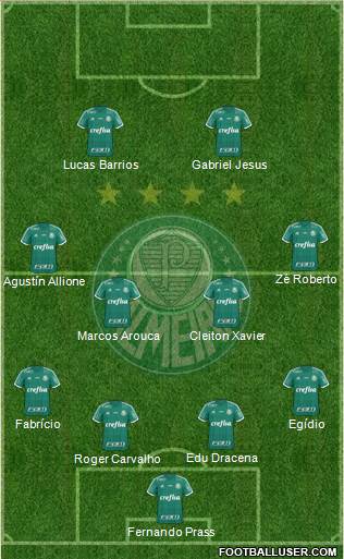 SE Palmeiras Formation 2016