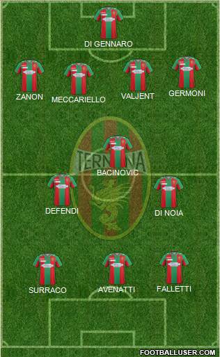 Ternana Formation 2016