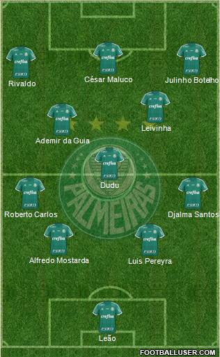 SE Palmeiras Formation 2016