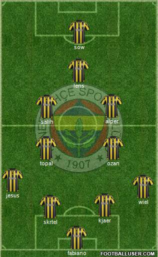 Fenerbahçe SK Formation 2016