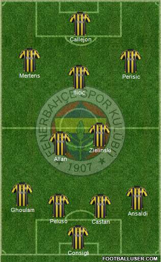 Fenerbahçe SK Formation 2016
