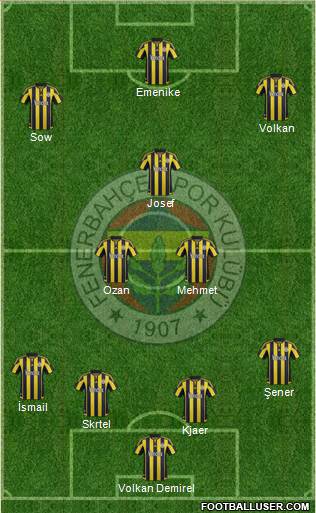 Fenerbahçe SK Formation 2016