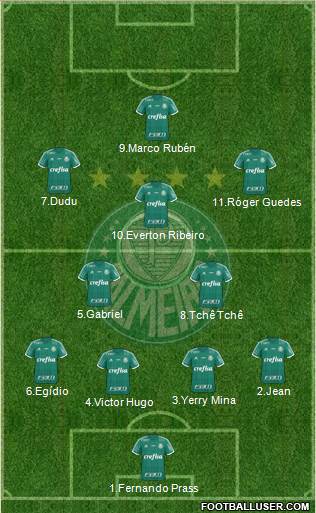SE Palmeiras Formation 2016