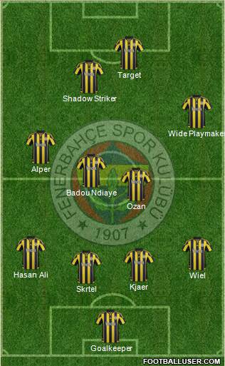 Fenerbahçe SK Formation 2016