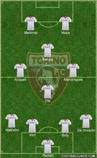 Torino Formation 2016