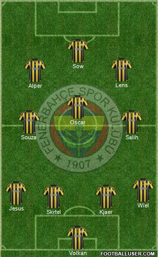 Fenerbahçe SK Formation 2016