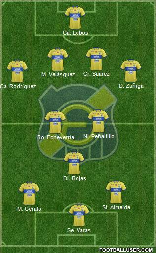 CD Everton de Viña del Mar S.A.D.P. Formation 2016