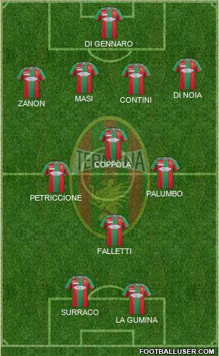 Ternana Formation 2016
