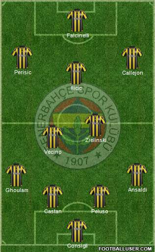 Fenerbahçe SK Formation 2016