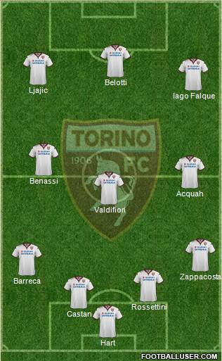 Torino Formation 2016