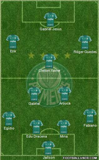 SE Palmeiras Formation 2016