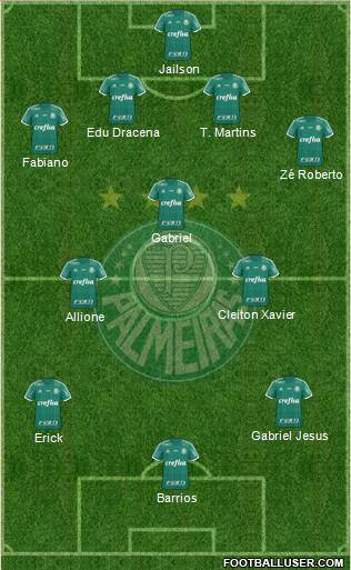 SE Palmeiras Formation 2016