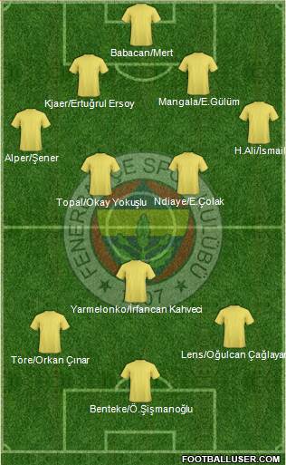 Fenerbahçe SK Formation 2016