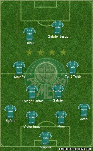 SE Palmeiras Formation 2016