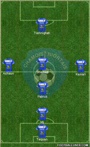 Chamois Niortais Football Club Formation 2016