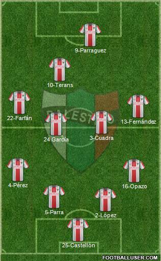 CD Palestino S.A.D.P. Formation 2016