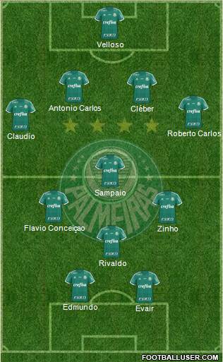 SE Palmeiras Formation 2016