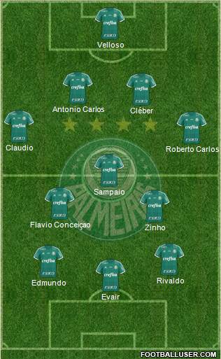 SE Palmeiras Formation 2016
