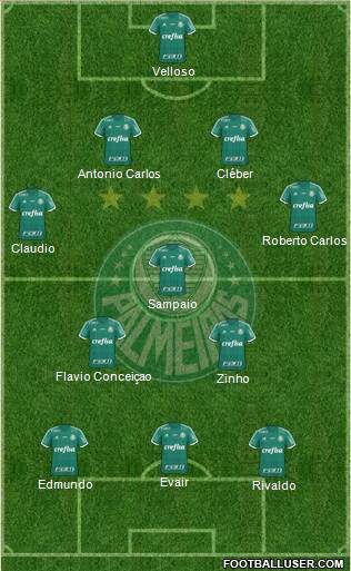 SE Palmeiras Formation 2016