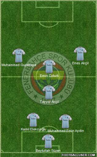 Fenerbahçe SK Formation 2016