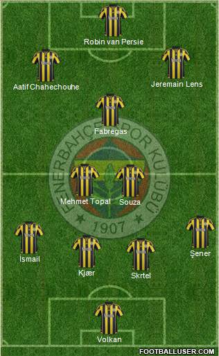 Fenerbahçe SK Formation 2016