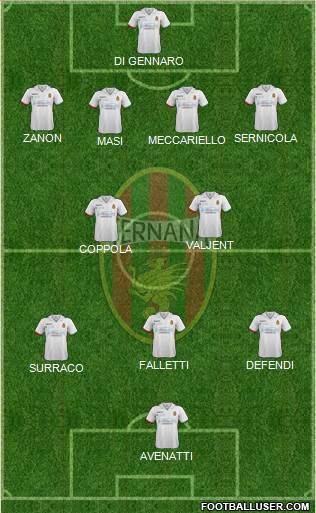 Ternana Formation 2016