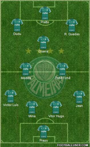 SE Palmeiras Formation 2016