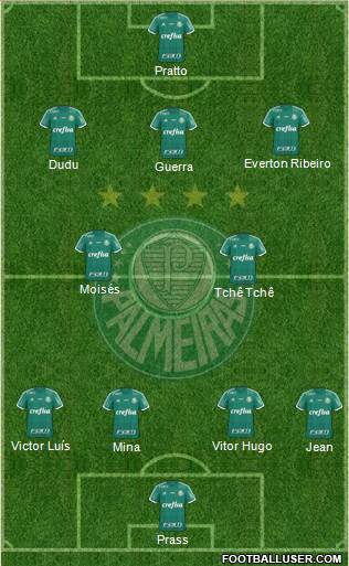 SE Palmeiras Formation 2016