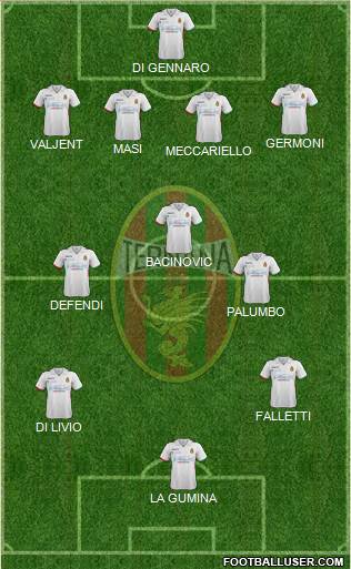 Ternana Formation 2016