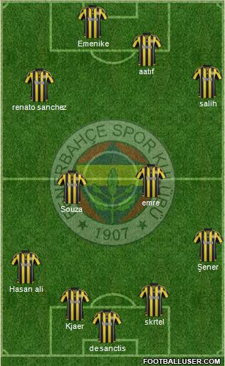 Fenerbahçe SK Formation 2016