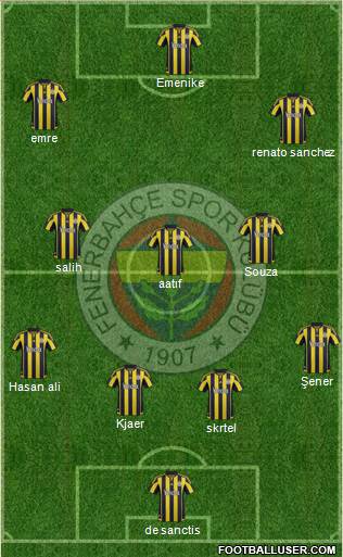 Fenerbahçe SK Formation 2016
