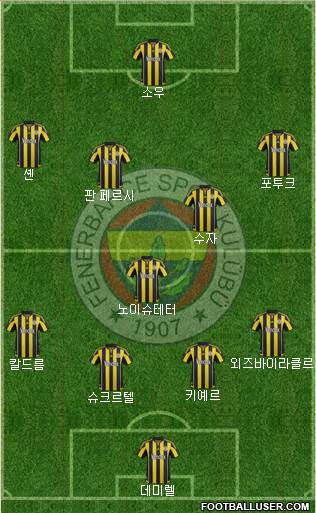Fenerbahçe SK Formation 2016