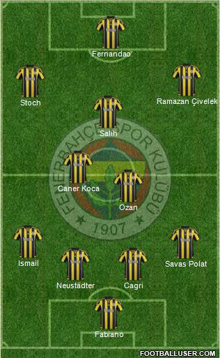 Fenerbahçe SK Formation 2016