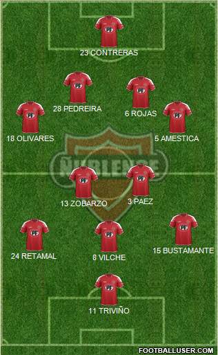 CD Ñublense S.A.D.P. Formation 2016