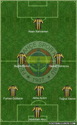 Fenerbahçe SK Formation 2016