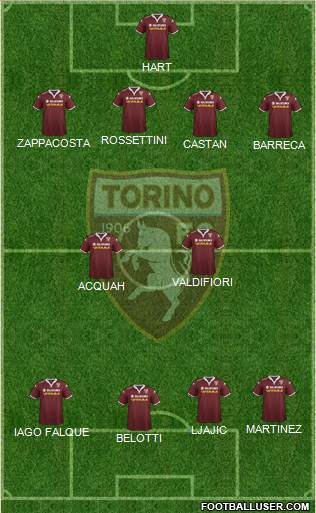 Torino Formation 2016