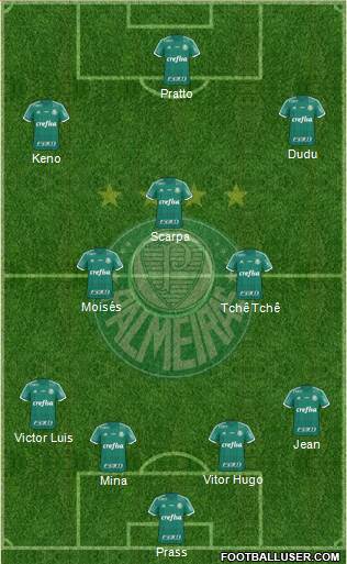 SE Palmeiras Formation 2016