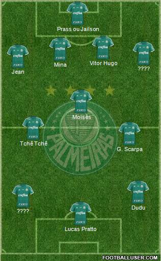 SE Palmeiras Formation 2016