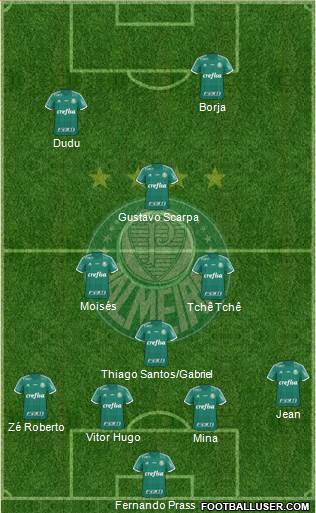SE Palmeiras Formation 2016