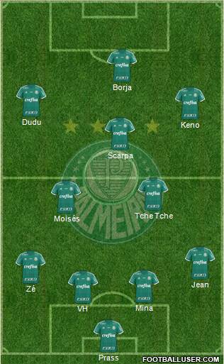 SE Palmeiras Formation 2016