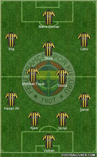 Fenerbahçe SK Formation 2016