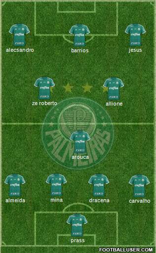 SE Palmeiras Formation 2016