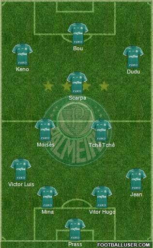 SE Palmeiras Formation 2016