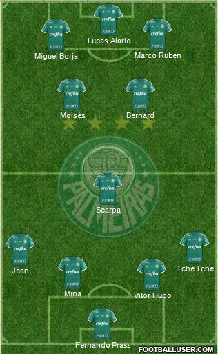 SE Palmeiras Formation 2016
