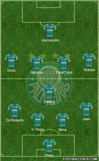 SE Palmeiras Formation 2016